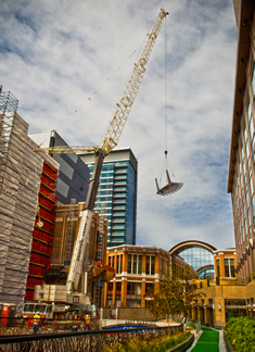 Crane picture 1
