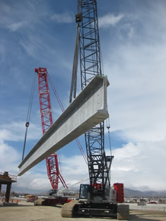 Crane picture 3